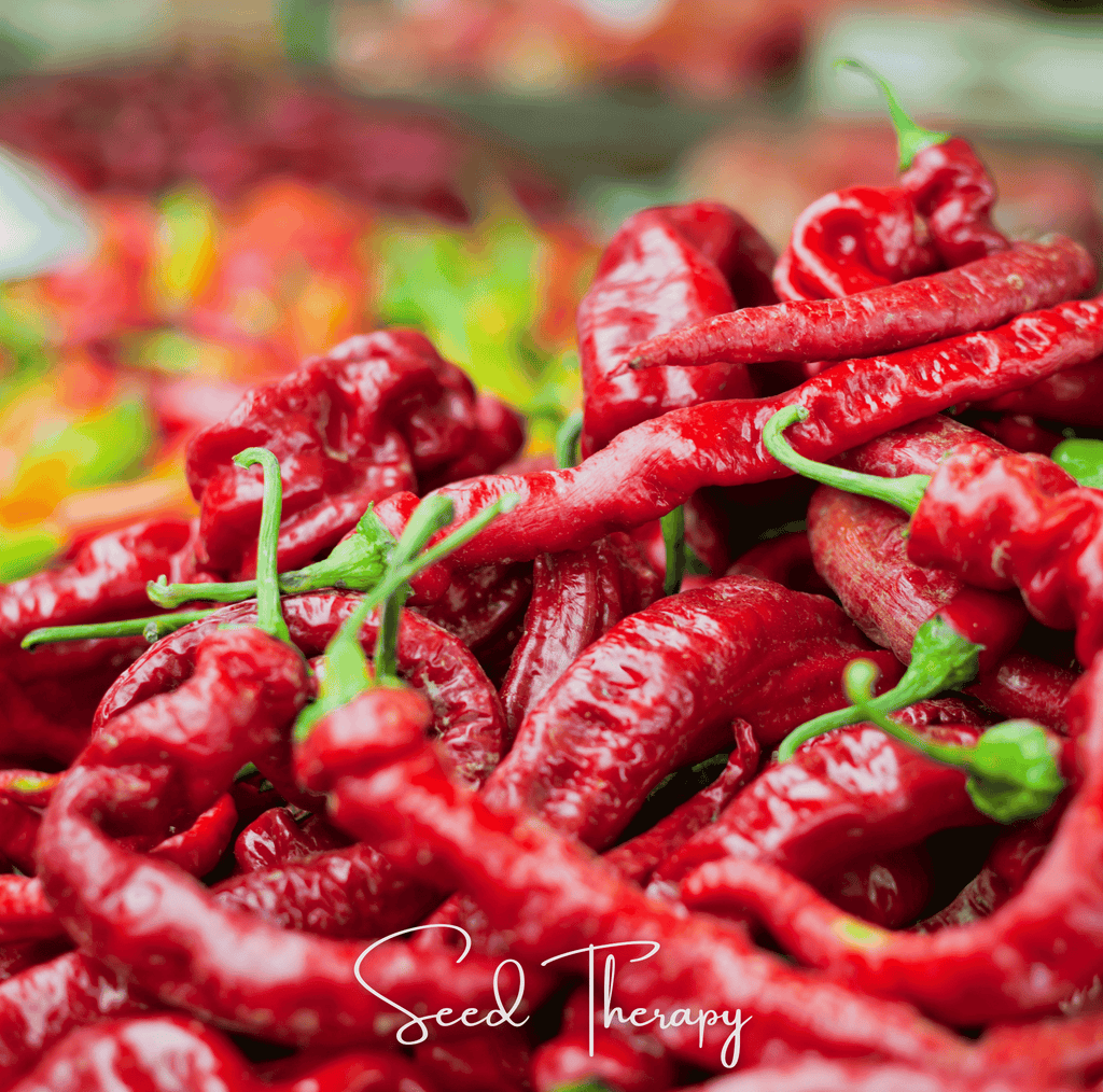 Jimmy Nardello's Pepper – 25 Seeds