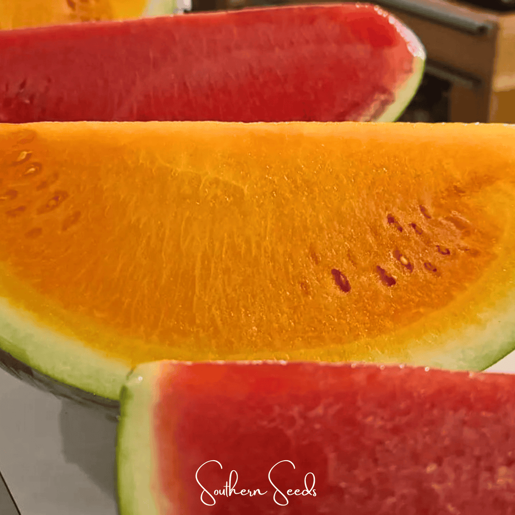 Tendersweet Orange Watermelon – 25 Seeds